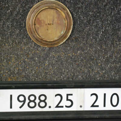 Disc