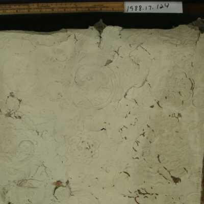 Wallcovering, Wall