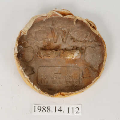 Mold, Plaster