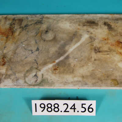 Slab, Marble