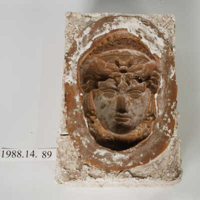 Mold, Plaster