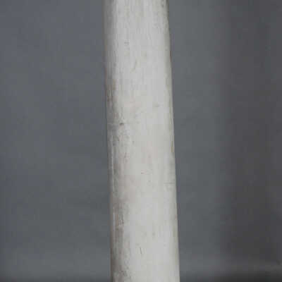 Column