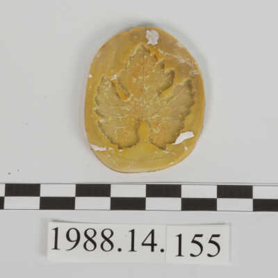 Mold, Plaster