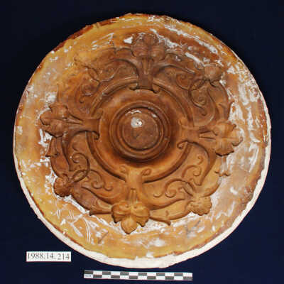 Mold, Plaster