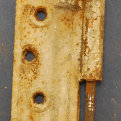 Hinge, Butt