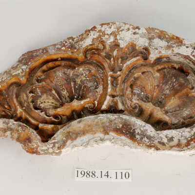 Mold, Plaster