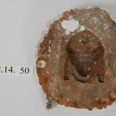 Mold, Plaster