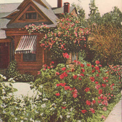 Postcard