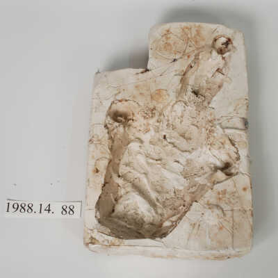 Mold, Plaster