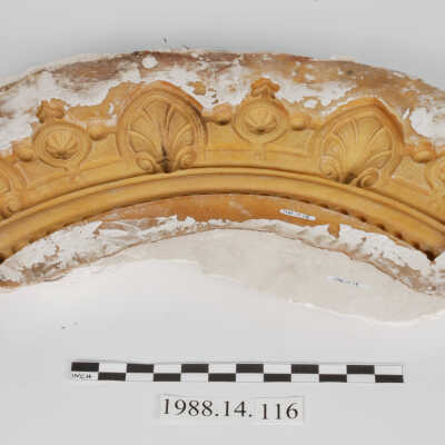 Mold, Plaster
