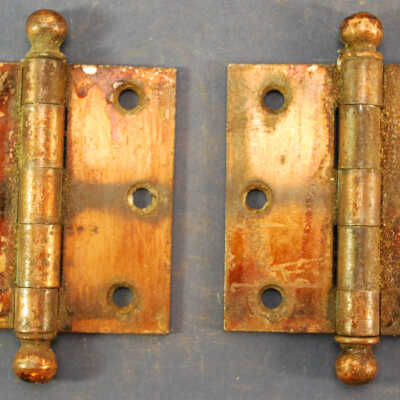 Hinge, Butt