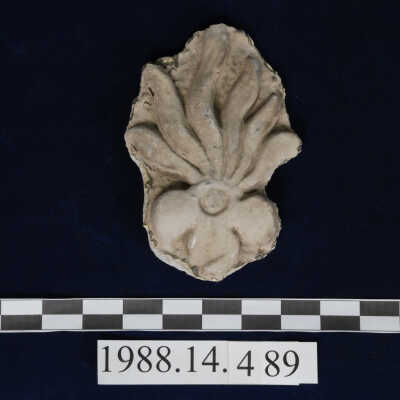 Ornament, Plaster