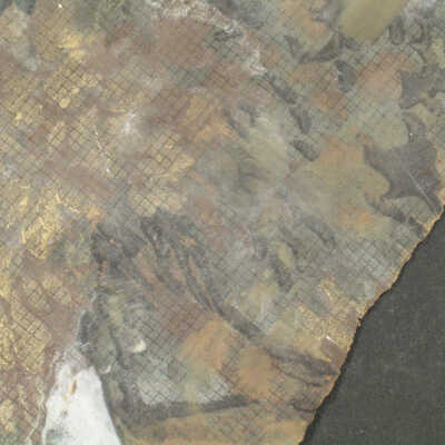 Wallcovering, Wall