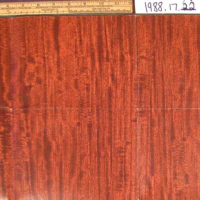 wallcovering, wall