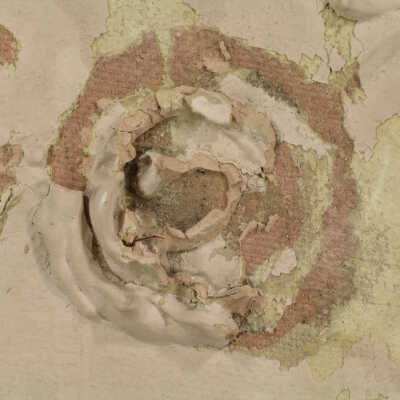 Wallcovering, Frieze