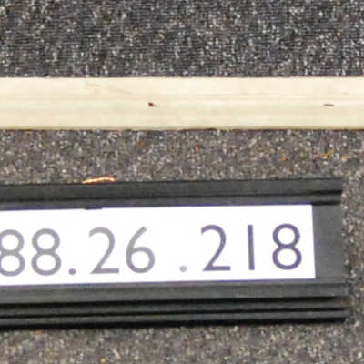 Molding