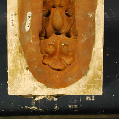 Mold, Plaster
