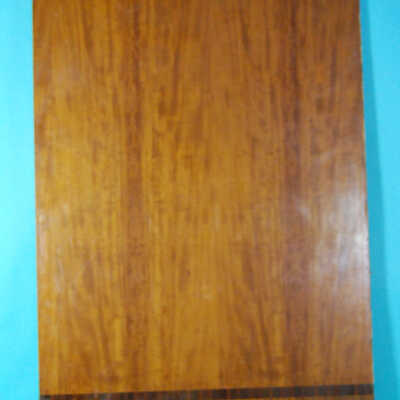 Panel