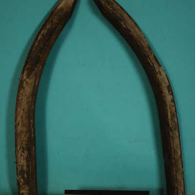 Casing