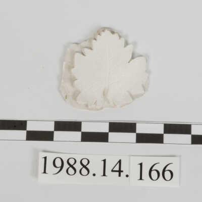 Ornament, Plaster