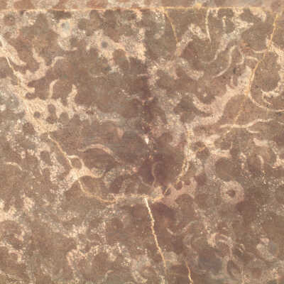 Wallcovering, Ceiling