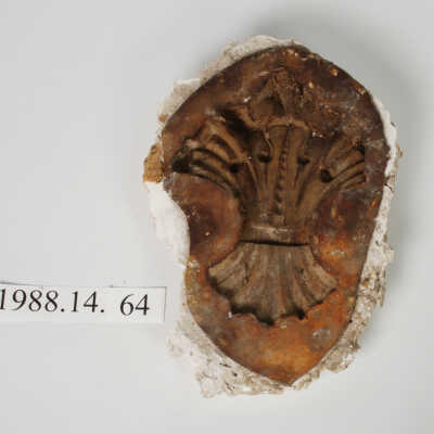 Mold, Plaster