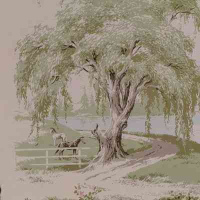 Wallcovering, Other