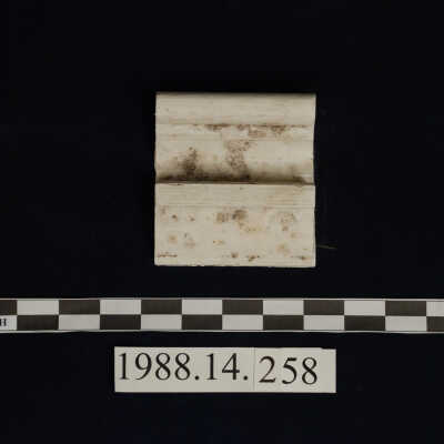 Molding, Plaster