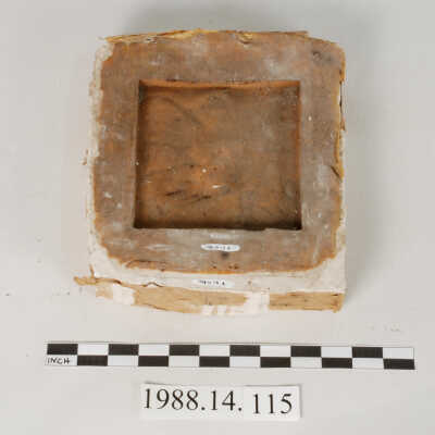 Mold, Plaster