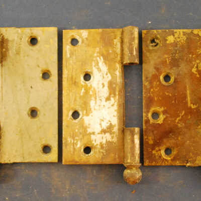 Hinge, Butt