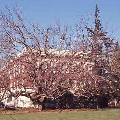 Albany College, administrative building. Planned 1912. Built 1925.