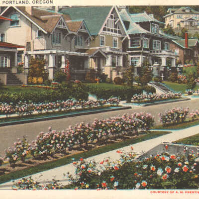 Postcard