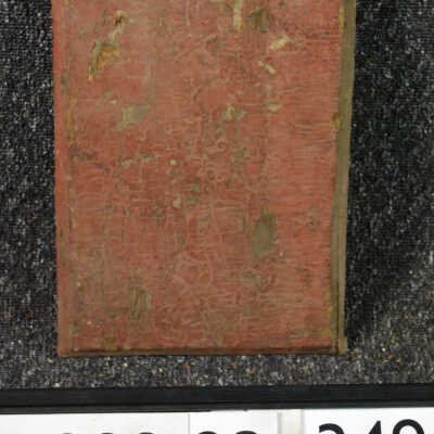 Panel