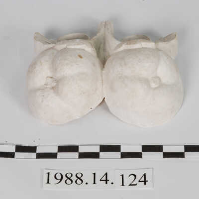 Ornament, Plaster