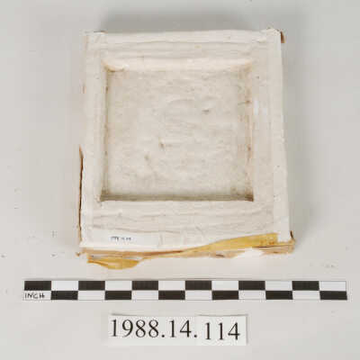 Mold, Plaster