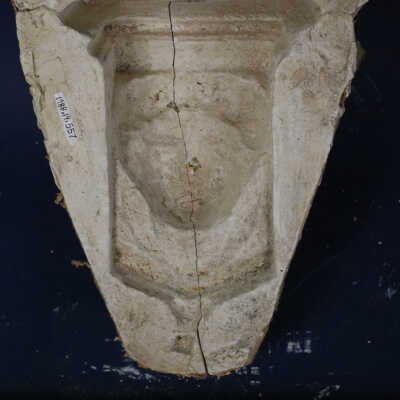 Mold, Plaster