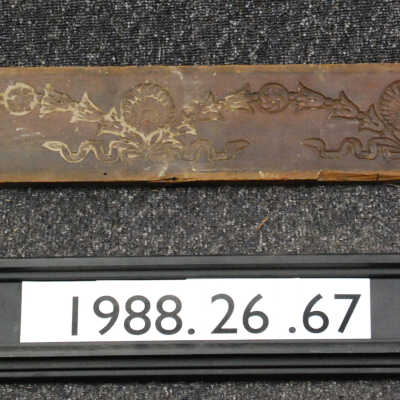 Panel