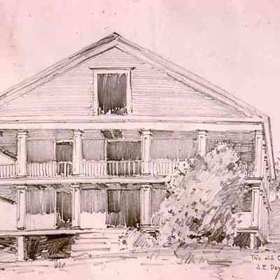 AE Doyle Sketch 1898