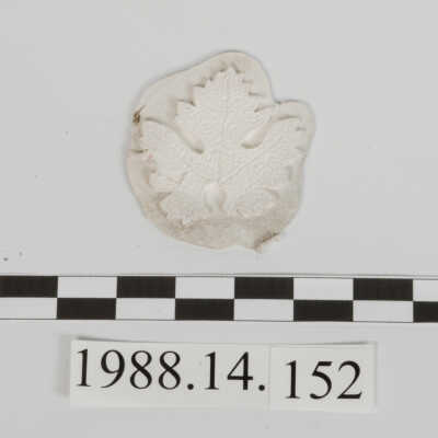 Ornament, Plaster
