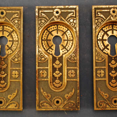 Escutcheon, Pocket Door