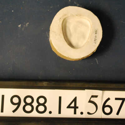 Mold, Plaster