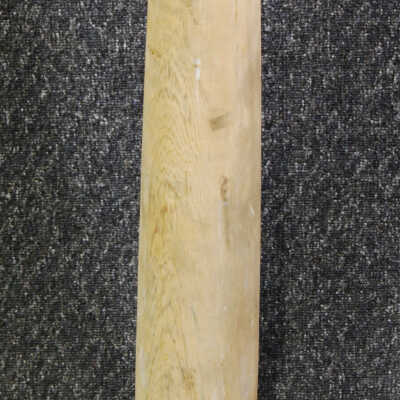 Column
