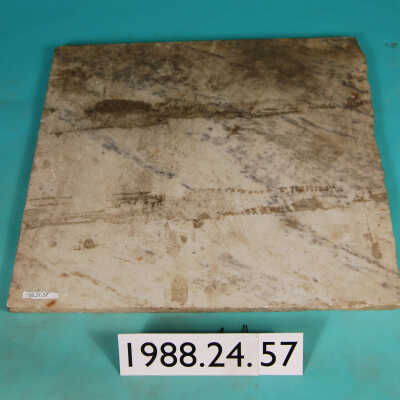 Slab, Marble