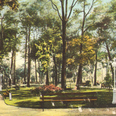 Postcard