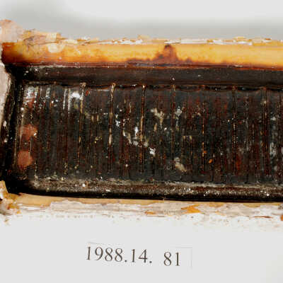 Mold, Plaster