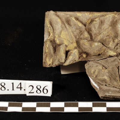Block, Terra Cotta
