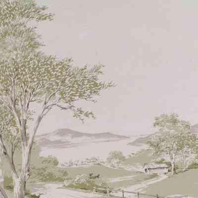Wallcovering, Other