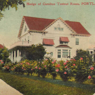 Postcard
