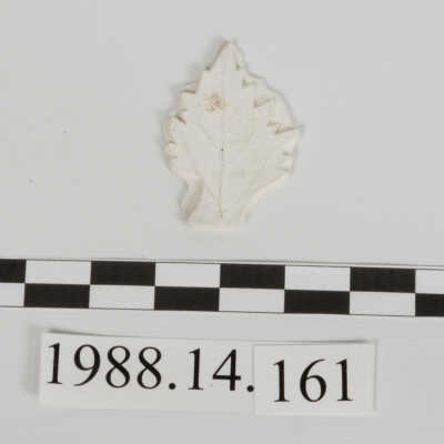 Ornament, Plaster