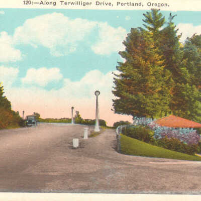Postcard